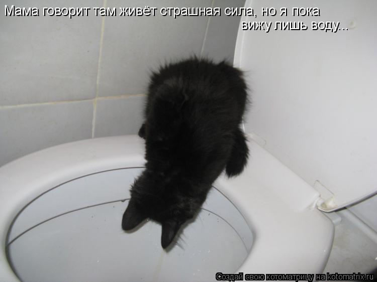 Мама говорит там живёт страшная сила, но я пока вижу лишь воду...... Котоматрица: Мама говорит там живёт страшная сила, но я пока вижу лишь воду...