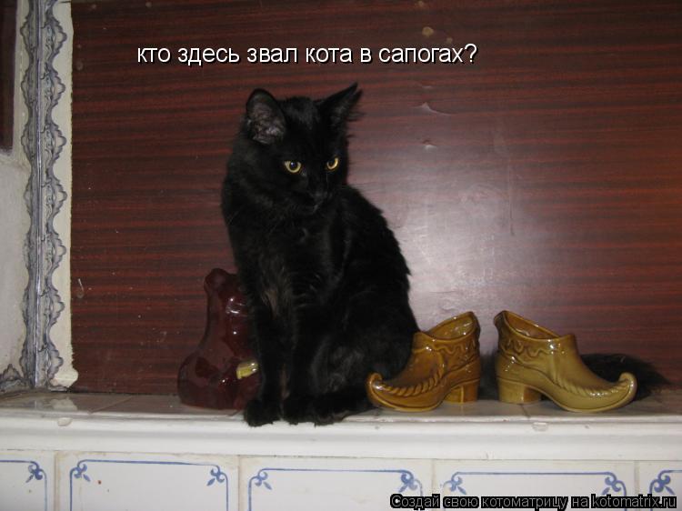 кто здесь звал кота в сапогах?... Котоматрица: кто здесь звал кота в сапогах?