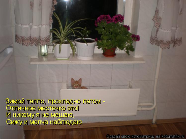 Зимой тепло, прохладно летом - Отличное местечко это! И никому я не мешаю, Сижу и молча наблюдаю.... Котоматрица: Зимой тепло, прохладно летом - Отличное местечко это! И никому я не мешаю, Сижу и молча наблюдаю.