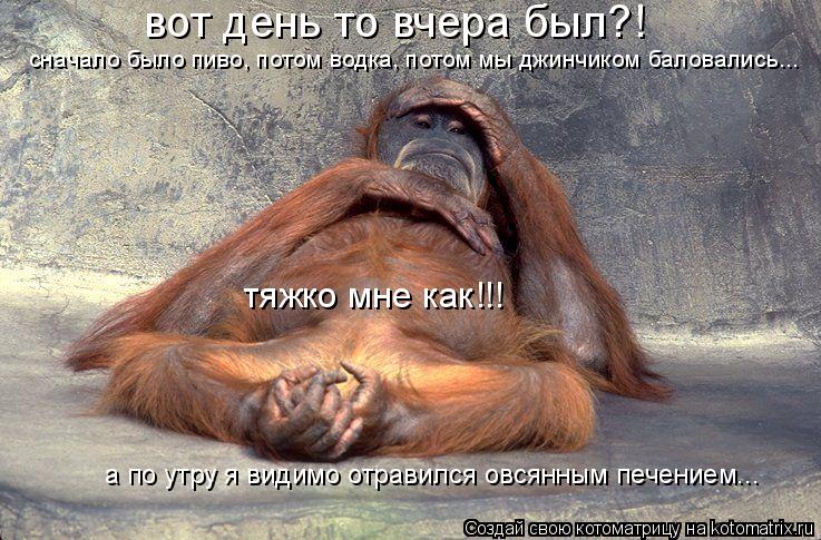 сначало было пиво, потом водка, потом мы джинчиком баловались... вот день то вчера был?! а по утру я ... Котоматрица: сначало было пиво, потом водка, потом мы джинчиком баловались... вот день то вчера был?! а по утру я видимо отравился овсянным печением... тяжк