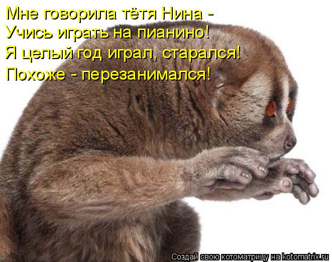 Мне говорила тётя Нина - Учись играть на пианино! Я целый год играл, старался! Похоже - перезанима... Котоматрица: Мне говорила тётя Нина - Учись играть на пианино! Я целый год играл, старался! Похоже - перезанимался!