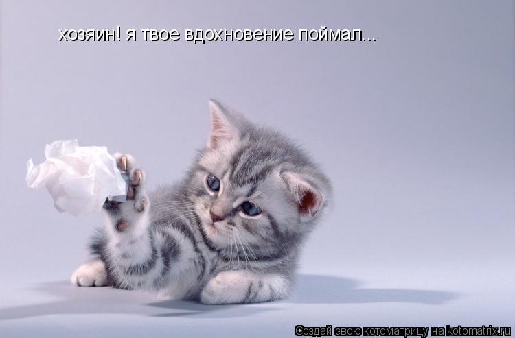 хозяин! я твое вдохновение поймал...... Котоматрица: хозяин! я твое вдохновение поймал...