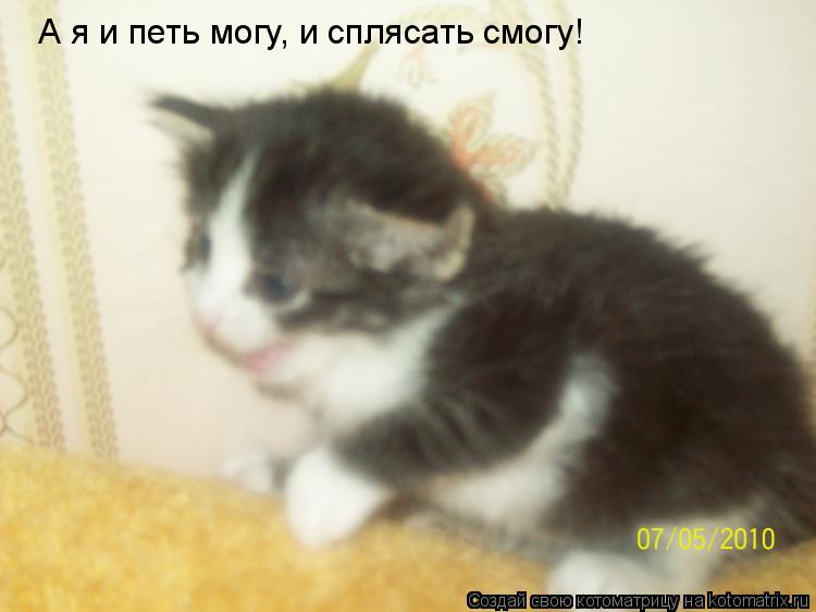 А я и петь могу, и сплясать смогу!... Котоматрица: А я и петь могу, и сплясать смогу!