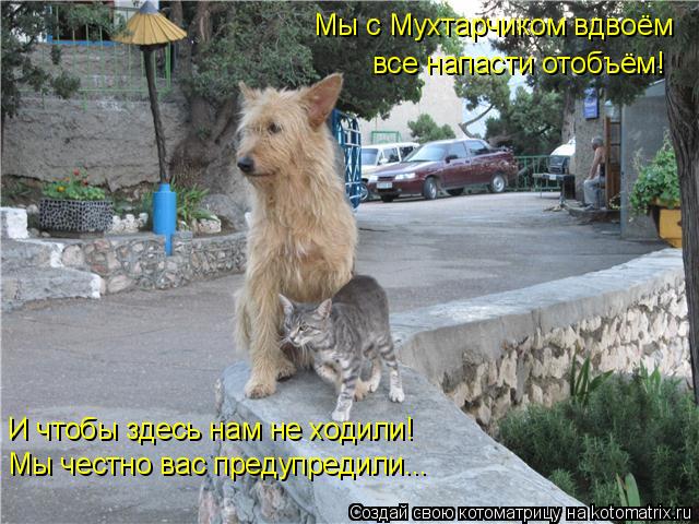 Мы с Мухтарчиком вдвоём все напасти отобъём! И чтобы здесь нам не ходили! Мы честно вас предупредили.... Котоматрица: Мы с Мухтарчиком вдвоём все напасти отобъём! И чтобы здесь нам не ходили! Мы честно вас предупредили...