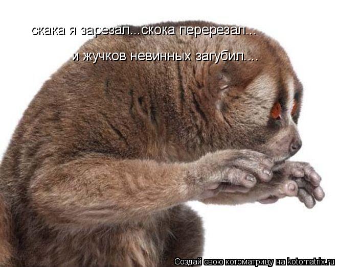 скака я зарезал...скока перерезал... и жучков невинных загубил....... Котоматрица: скака я зарезал...скока перерезал... и жучков невинных загубил....