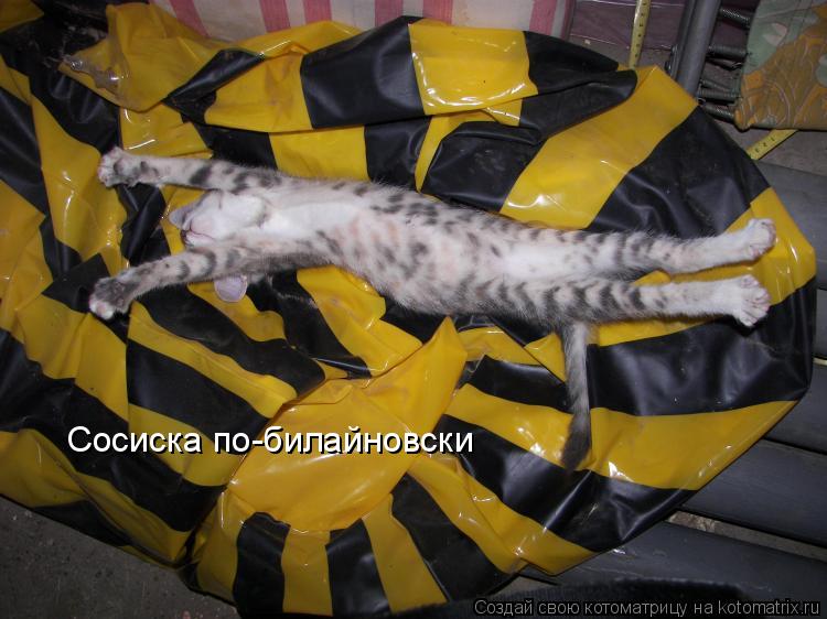 Сосиска по-билайновски... Котоматрица: Сосиска по-билайновски