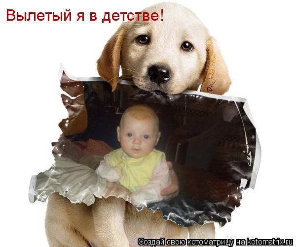 Вылетый я в детстве!... Котоматрица: Вылетый я в детстве!