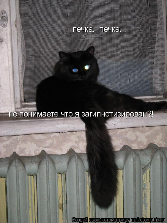 печка...печка... не понимаете что я загипнотизирован?!... Котоматрица: печка...печка... не понимаете что я загипнотизирован?!