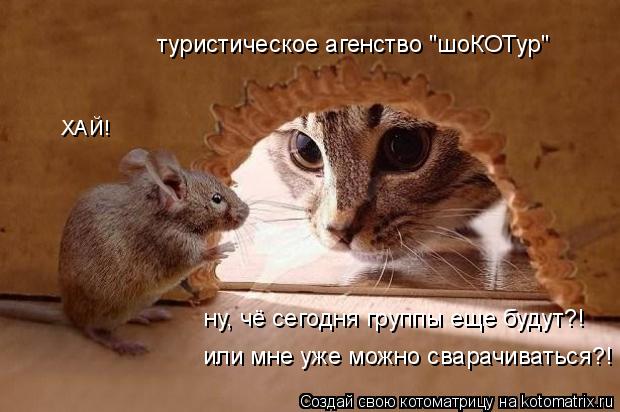 ну, чё сегодня группы еще будут?! или мне уже можно сварачиваться?! туристическое агенство "шоКОТур" ... Котоматрица: ну, чё сегодня группы еще будут?! или мне уже можно сварачиваться?! туристическое агенство "шоКОТур" ХАЙ!