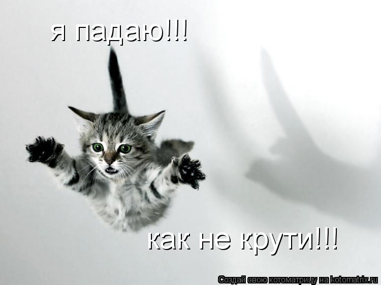 я падаю!!! как не крути!!!... Котоматрица: я падаю!!! как не крути!!!