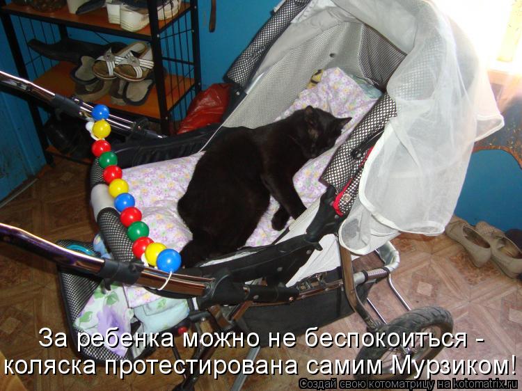 Котоматрица: За ребенка можно не беспокоиться - коляска протестирована самим Мурзиком!