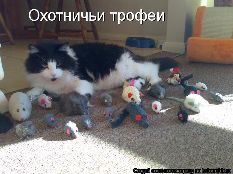 Охотничьи трофеи... Котоматрица: Охотничьи трофеи