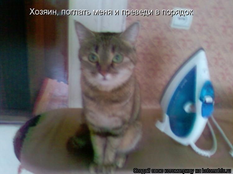 Хозяин, поглать меня и преведи в порядок... Котоматрица: Хозяин, поглать меня и преведи в порядок