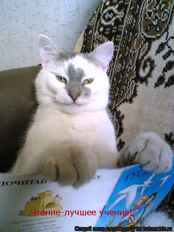 Чтение-лучшее учение!... Котоматрица: Чтение-лучшее учение!