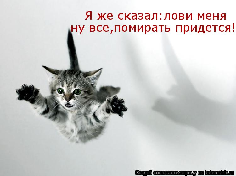 Я же сказал:лови меня ну все,помирать придется!... Котоматрица: Я же сказал:лови меня ну все,помирать придется!