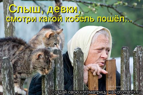 Слыш, девки, смотри какой кобель пошёл...... Котоматрица: Слыш, девки, смотри какой кобель пошёл...