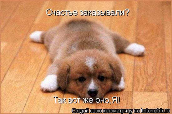 Счастье заказывали? Так вот же оно,Я!... Котоматрица: Счастье заказывали? Так вот же оно,Я!