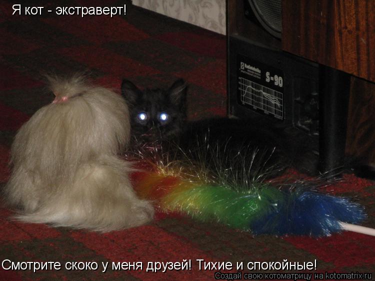 Я кот - экстраверт! Смотрите скоко у меня друзей! Тихие и спокойные!... Котоматрица: Я кот - экстраверт! Смотрите скоко у меня друзей! Тихие и спокойные!