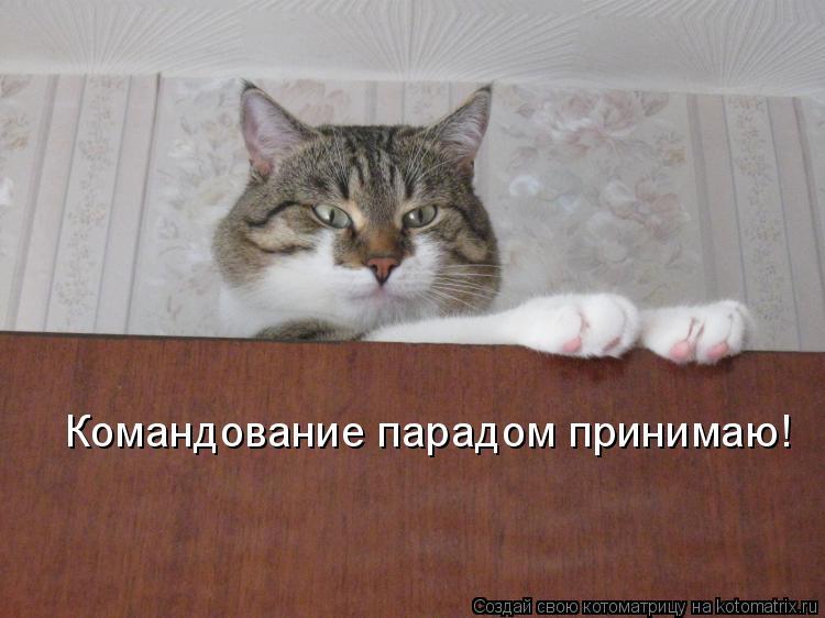 Командование парадом принимаю!... Котоматрица: Командование парадом принимаю!