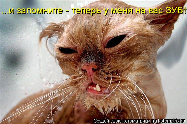 ...и запомните - теперь у меня на вас ЗУБ!... Котоматрица: ...и запомните - теперь у меня на вас ЗУБ!