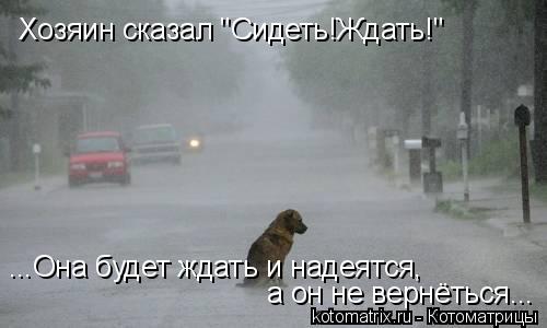 Хозяин сказал "Сидеть!Ждать!" Хозяин сказал "Сидеть!Ждать!" ...Она будет ждать и надеятся, а он не ве... Котоматрица: Хозяин сказал "Сидеть!Ждать!" Хозяин сказал "Сидеть!Ждать!" ...Она будет ждать и надеятся, а он не вернёться... а он не вернёться...