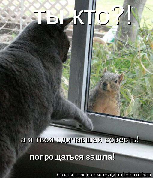 ты кто?! а я твоя одичавшая совесть! попрощаться зашла!... Котоматрица: ты кто?! а я твоя одичавшая совесть! попрощаться зашла!