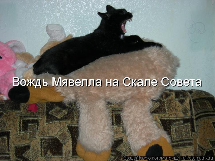 Вождь Мявелла на Скале Совета... Котоматрица: Вождь Мявелла на Скале Совета