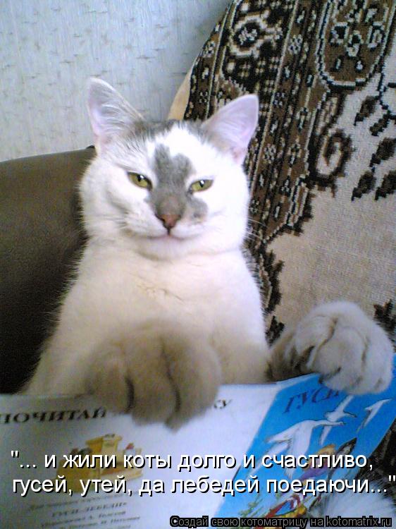 гусей, утей, да лебедей поедаючи..." "... и жили коты долго и счастливо,... Котоматрица: гусей, утей, да лебедей поедаючи..." "... и жили коты долго и счастливо,