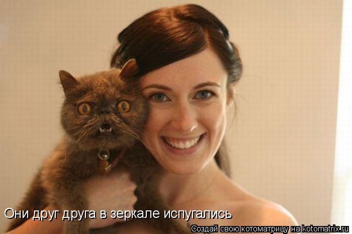 Они друг друга в зеркале испугались Они друг друга в зеркале испугались Они друг друга в зеркале испу... Котоматрица: Они друг друга в зеркале испугались Они друг друга в зеркале испугались Они друг друга в зеркале испугались