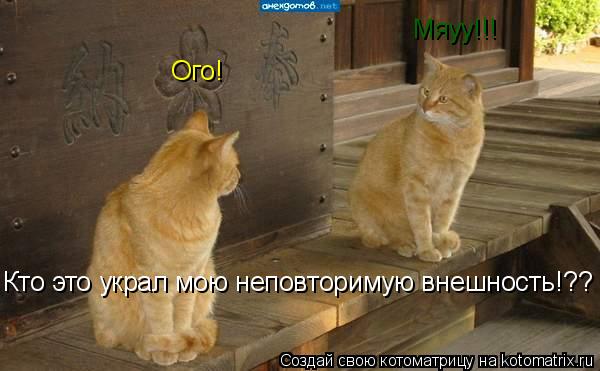 Кто это украл мою неповторимую внешность!?? Ого! Мяуу!!!... Котоматрица: Кто это украл мою неповторимую внешность!?? Ого! Мяуу!!!