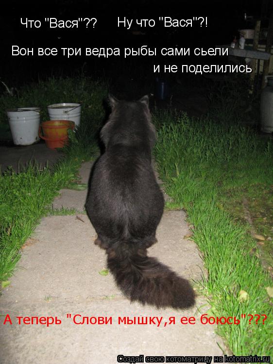 Что "Вася"?? Ну что "Вася"?! Вон все три ведра рыбы сами сьели и не поделились А теперь "Слови мышку,... Котоматрица: Что "Вася"?? Ну что "Вася"?! Вон все три ведра рыбы сами сьели и не поделились А теперь "Слови мышку,я ее боюсь"???