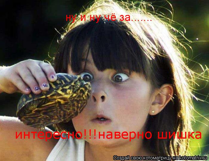 интересно!!!наверно шишка ну и ну чё за.......... Котоматрица: интересно!!!наверно шишка ну и ну чё за.......
