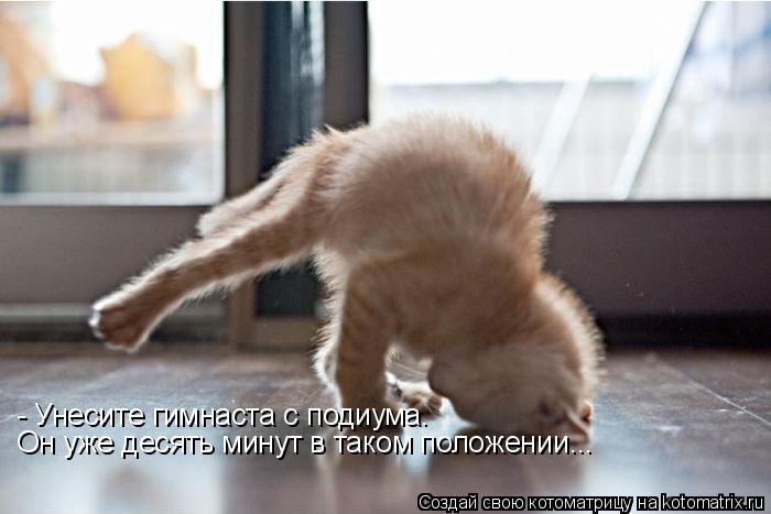 - Унесите гимнаста с подиума. Он уже десять минут в таком положении...... Котоматрица: - Унесите гимнаста с подиума. Он уже десять минут в таком положении...