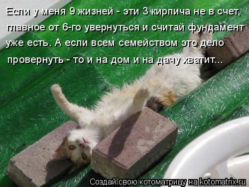 Если у меня 9 жизней - эти 3 кирпича не в счет, главное от 6-го увернуться и считай фундамент уже ес... Котоматрица: Если у меня 9 жизней - эти 3 кирпича не в счет, главное от 6-го увернуться и считай фундамент уже есть. А если всем семейством это дело проверн