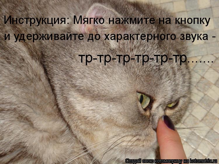 Инструкция: Мягко нажмите на кнопку и удерживайте до характерного звука - тр-тр-тр-тр-тр-тр.......... Котоматрица: Инструкция: Мягко нажмите на кнопку и удерживайте до характерного звука - тр-тр-тр-тр-тр-тр.......