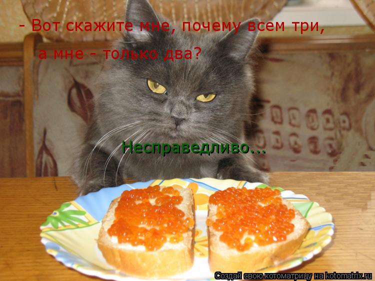 - Вот скажите мне, почему всем три, а мне - только два? Несправедливо...... Котоматрица: - Вот скажите мне, почему всем три, а мне - только два? Несправедливо...