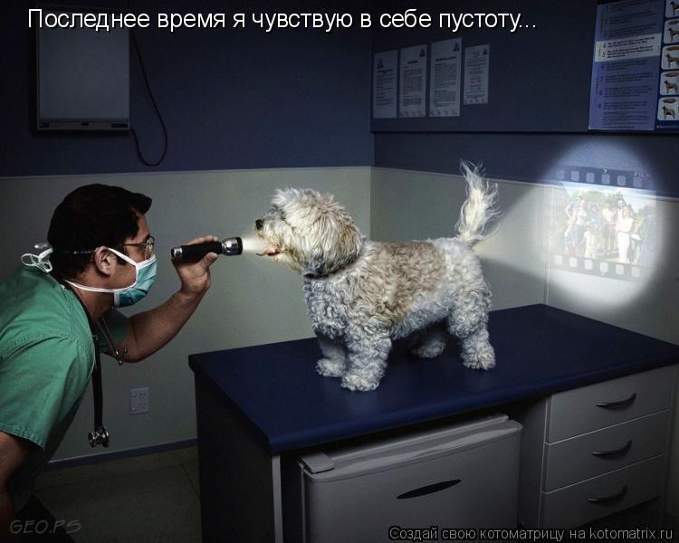 Последнее время я чувствую в себе пустоту...... Котоматрица: Последнее время я чувствую в себе пустоту...