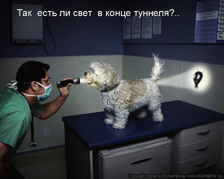 Так есть ли свет в конце туннеля?..... Котоматрица: Так есть ли свет в конце туннеля?..