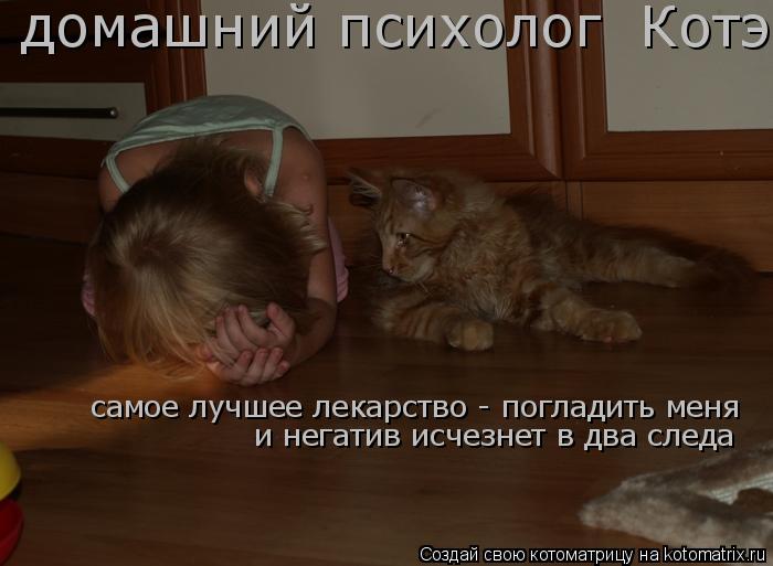 самое лучшее лекарство - погладить меня и негатив исчезнет в два следа домашний психолог Котэ... Котоматрица: самое лучшее лекарство - погладить меня и негатив исчезнет в два следа домашний психолог Котэ