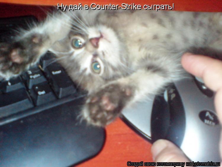 Ну дай в Cоunter-Strike сыграть! Ну дай в Cоunter-Strike сыграть!... Котоматрица: Ну дай в Cоunter-Strike сыграть! Ну дай в Cоunter-Strike сыграть!