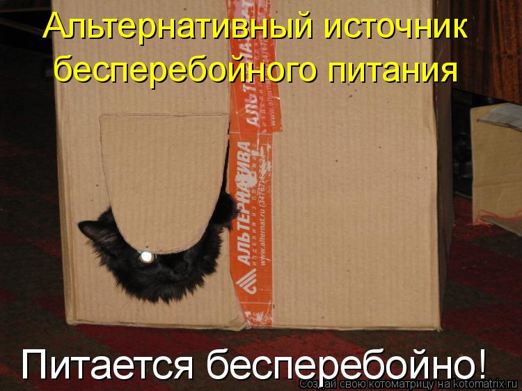 Альтернативный источник бесперебойного питания Питается бесперебойно!... Котоматрица: Альтернативный источник бесперебойного питания Питается бесперебойно!