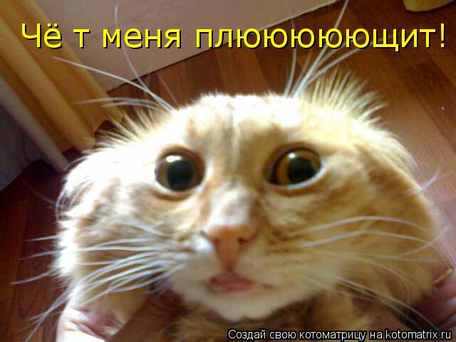 Чё т меня плююююющит!... Котоматрица: Чё т меня плююююющит!