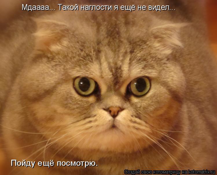Мдаааа... Такой наглости я ещё не видел... Пойду ещё посмотрю…... Котоматрица: Мдаааа... Такой наглости я ещё не видел... Пойду ещё посмотрю…