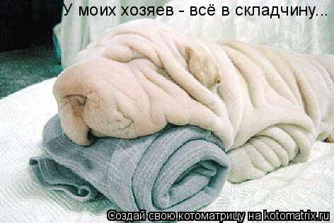 У моих хозяев - всё в складчину...... Котоматрица: У моих хозяев - всё в складчину...