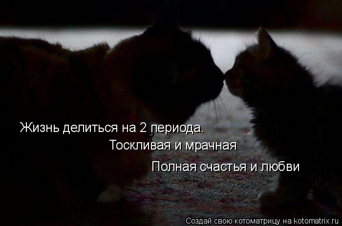 Жизнь делиться на 2 периода. Тоскливая и мрачная Полная счастья и любви... Котоматрица: Жизнь делиться на 2 периода. Тоскливая и мрачная Полная счастья и любви