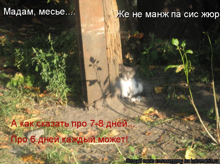 Мадам, месье.... Же не манж па сис жюр А как сказать про 7-8 дней... Про 6 дней каждый может!... Котоматрица: Мадам, месье.... Же не манж па сис жюр А как сказать про 7-8 дней... Про 6 дней каждый может!