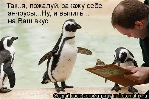 Так..я, пожалуй, закажу себе анчоусы...Ну, и выпить ... на Ваш вкус...... Котоматрица: Так..я, пожалуй, закажу себе анчоусы...Ну, и выпить ... на Ваш вкус...