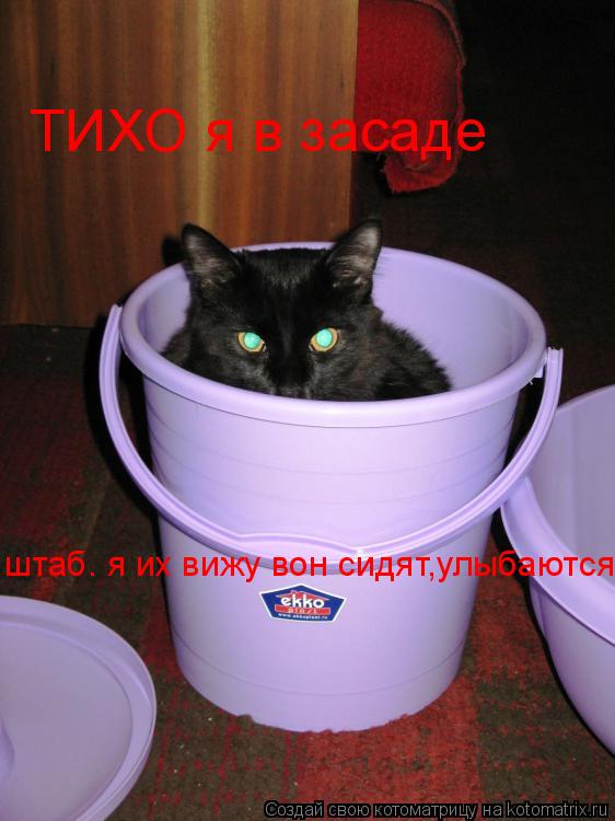 ТИХО я в засаде штаб. я их вижу вон сидят,улыбаются штаб. я их вижу вон сидят,улыбаются... Котоматрица: ТИХО я в засаде штаб. я их вижу вон сидят,улыбаются штаб. я их вижу вон сидят,улыбаются