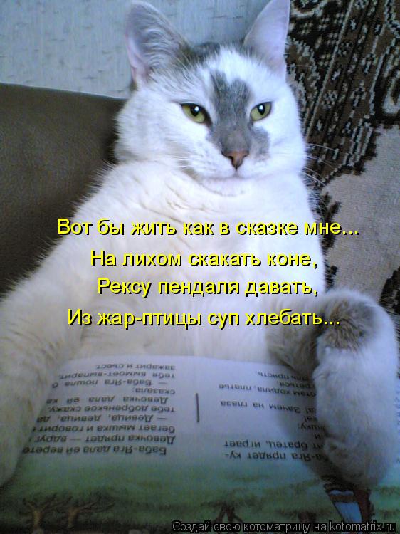 Вот бы жить как в сказке мне... На лихом скакать коне, Рексу пендаля давать, Из жар-птицы суп хлебат... Котоматрица: Вот бы жить как в сказке мне... На лихом скакать коне, Рексу пендаля давать, Из жар-птицы суп хлебать...