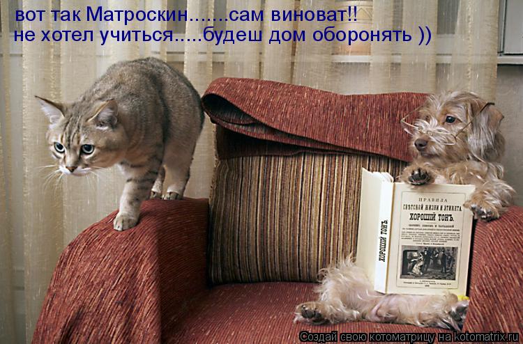 вот так Матроскин.......сам виноват!! не хотел учиться.....будеш дом оборонять ))... Котоматрица: вот так Матроскин.......сам виноват!! не хотел учиться.....будеш дом оборонять ))